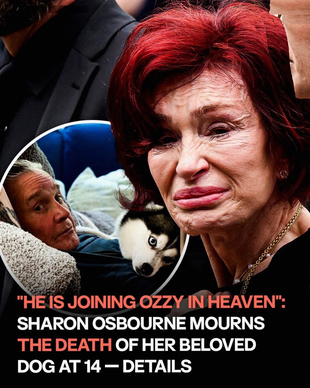Sharon Osbourne Mourns the Death of Her Beloved Dog Elvis — Just Months After Losing Ozzy Osbourne