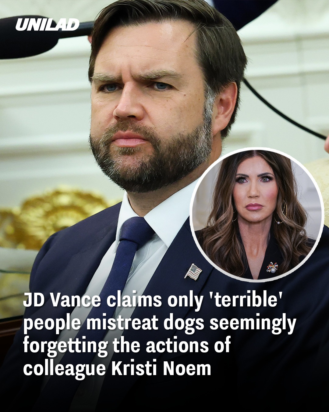 JD Vance Claims Only ‘Terrible People’ Mistreat Dogs — Ignores Colleague Kristi Noem’s Own Dog‑Killing Revelation