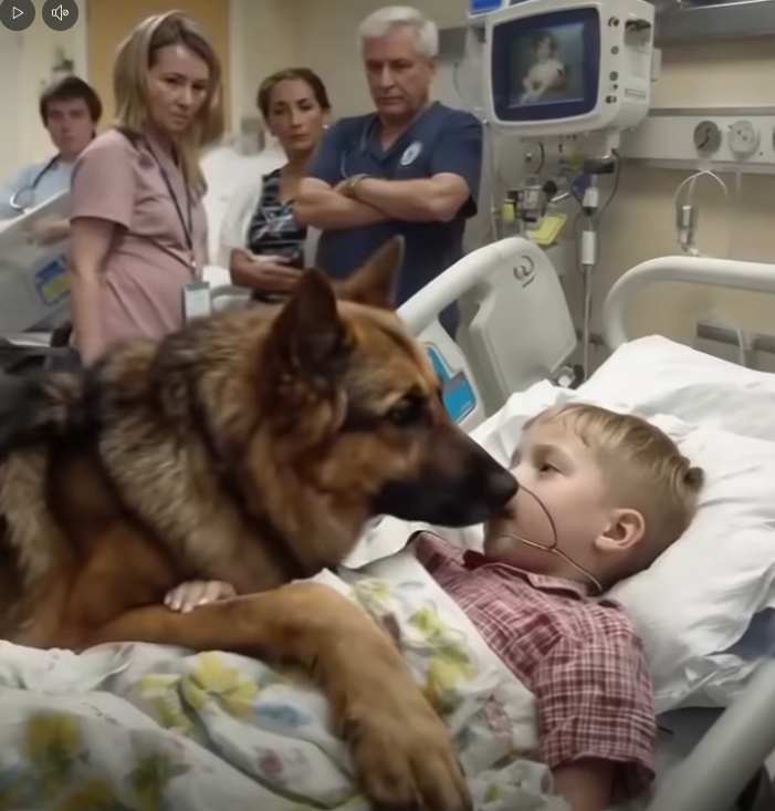 Boy’s Loyal Dog Saves His Life Before Surgery — What Happened Next Shocked Everyone