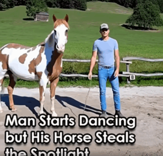 Man Breaks into Dance, But the Horse Steals Everyone’s Attention!