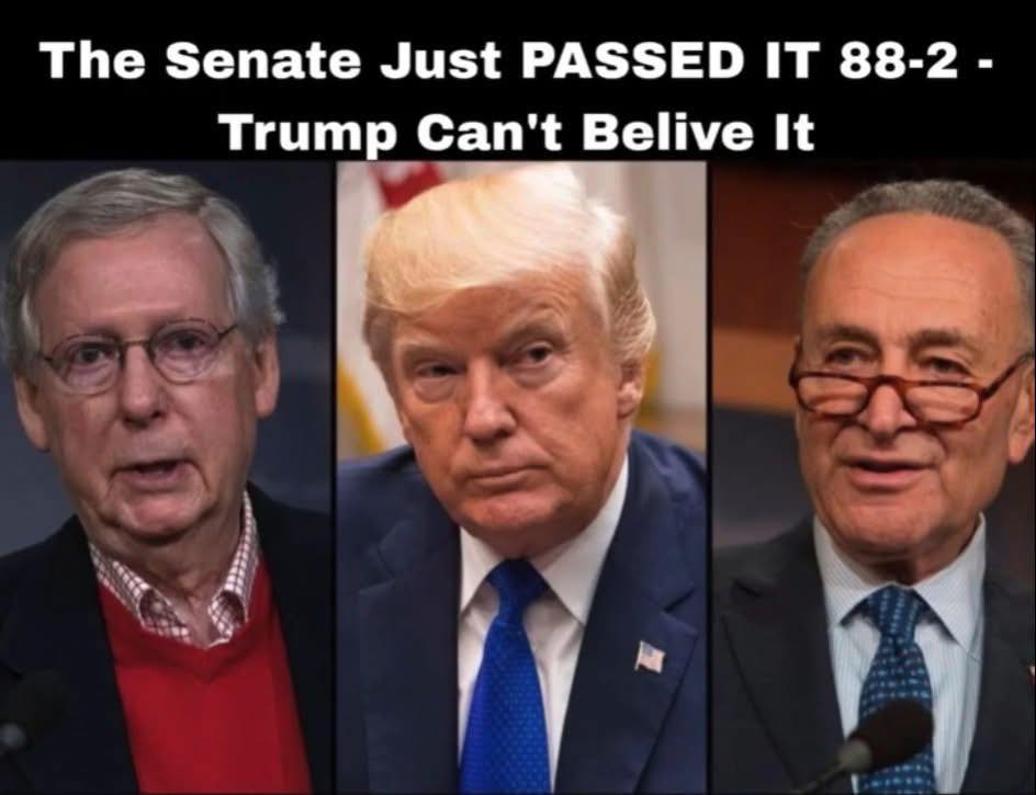 Senate Approves Bill 88-2 Vote — Even Trump Was Surprised!