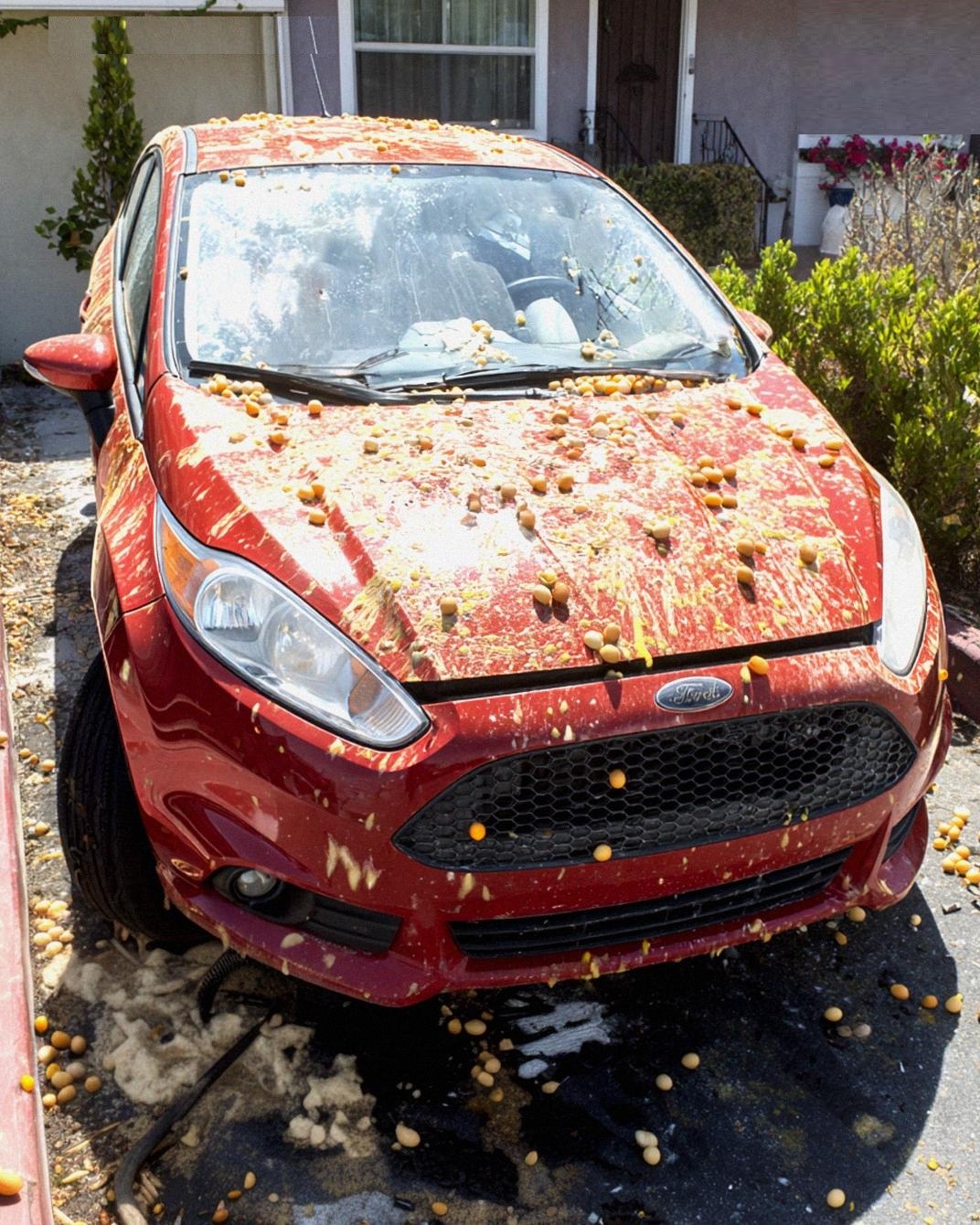 He Egged My Car for Blocking His Halloween Decorations – My Perfect Revenge Left Him Speechless