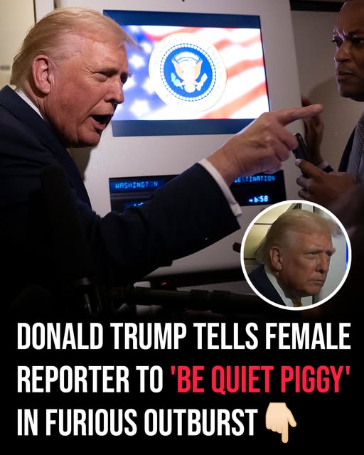Trump Snaps at Female Reporter — “Be Quiet, Piggy,” He Says Aboard Air Force One