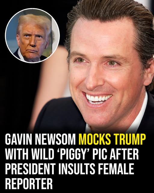 Newsom Fires Back at Trump With AI ‘Pig’ Images After Reporter Insult on Air Force One