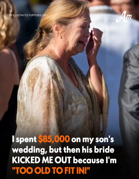 I Used My Savings to Pay for My Son’s Wedding — But What Happened at the Celebration Broke My Heart