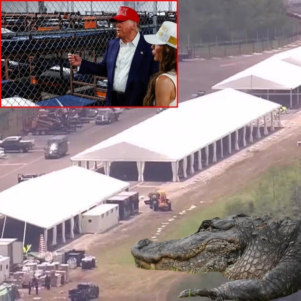 Inside “Alligator Alcatraz”: The New Florida Immigration Detention Center Stirring National Controversy